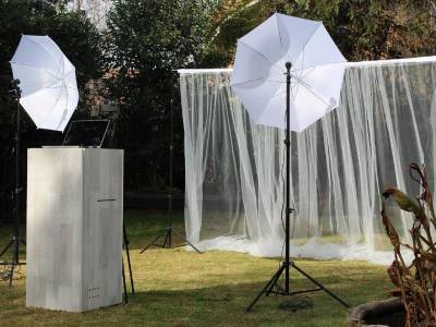 Wedding Stage Decoration