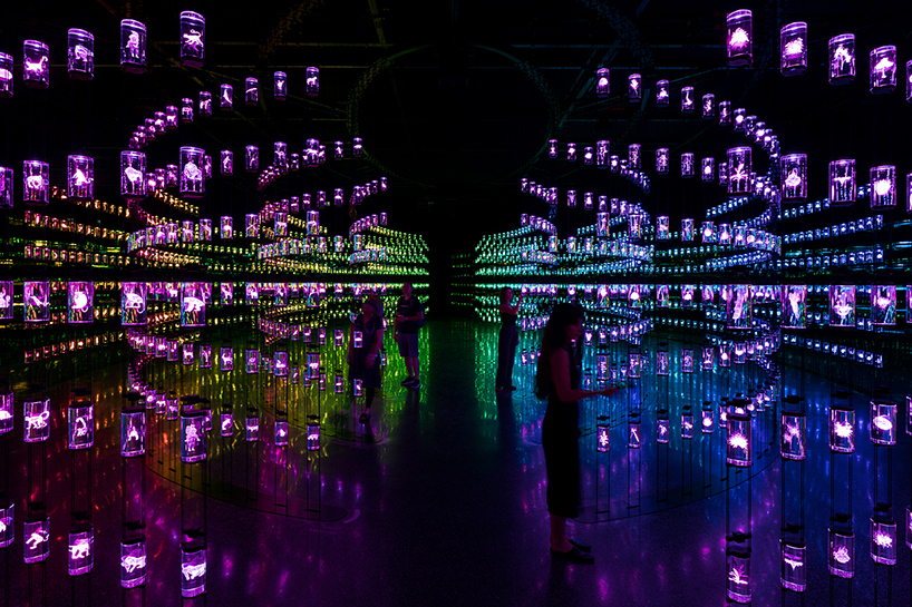 Exhibition experiences